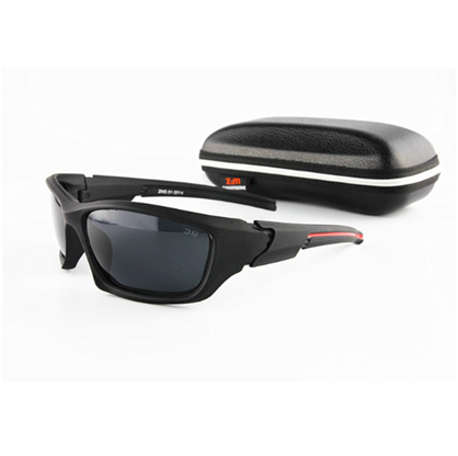 Prillid polariseeritud Z.MS-01